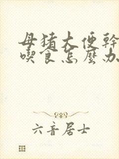 母猪大便干结不吃食怎么办