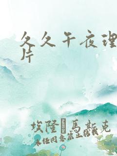 久久午夜理伦理片