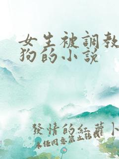 女生被调教成母狗的小说