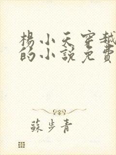 杨小天穿越武魂的小说免费阅读无弹窗