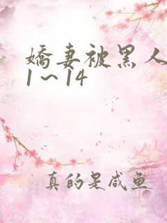 娇妻被黑人伦轩1～14