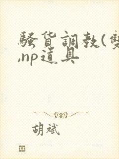 骚货调教(双性,np道具