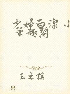 少妇白洁 小说 笔趣阁