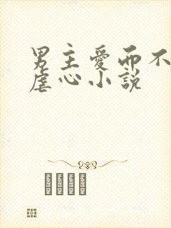 男主爱而不得的虐心小说