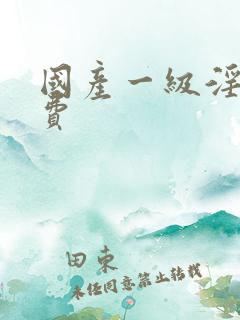 国产一级淫片免费