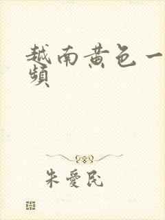 越南黄色一级视频