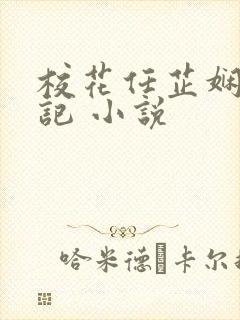 校花任芷娴的日记 小说