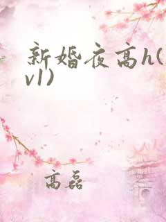 新婚夜高h(1v1)
