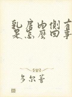 乳房内侧有硬块是怎么回事