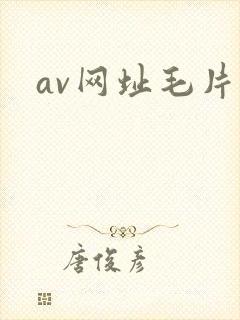 av网址毛片