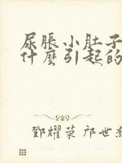 尿胀小肚子疼是什么引起的