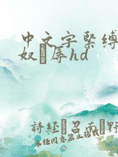 中文字紧缚调教奴隷辱hd