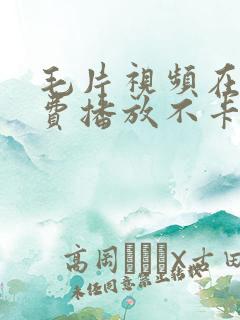 毛片视频在线免费播放不卡