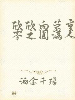 欣欣向荣重生九零之圆满人生