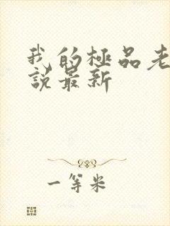 我的极品老婆小说最新