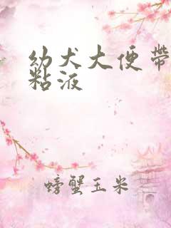 幼犬大便带血有粘液