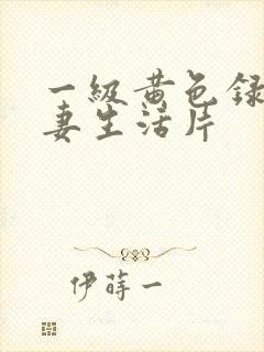 一级黄色录像夫妻生活片