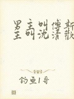 男主叫傅斯年女主叫沈清欢的小说