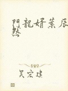 门龙婿叶辰萧初然