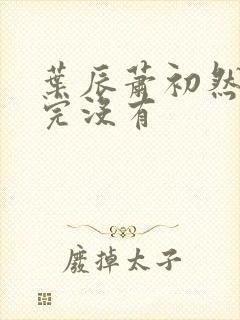 叶辰萧初然更新完没有