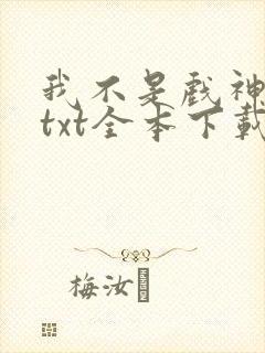 我不是戏神小说txt全本下载