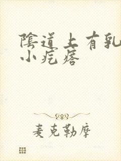 阴道上有乳头状小疙瘩