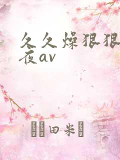 久久燥狠狠躁夜夜av