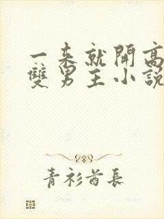 一来就开高速的双男主小说