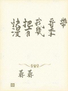 快把我哥带走动漫有几季