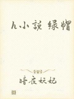 h小说 绿帽