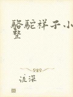 骆驼祥子小说完整