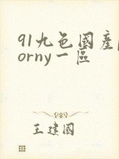 91九色国产porny一区
