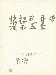 快把我哥带走动漫第三季