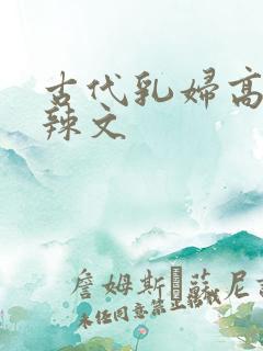 古代乳妇高h肉辣文