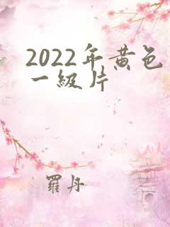 2022年黄色一级片