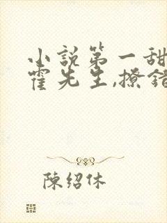 小说第一甜妻:霍先生,撩错了免费阅读