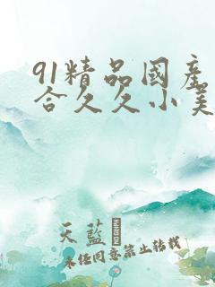 91精品国产综合久久小美女