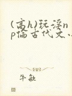 (高h)玩淫np伦古代文小说