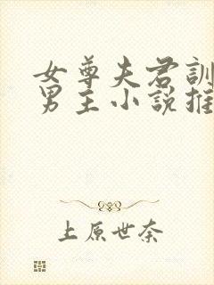 女尊夫君训诫双男主小说推荐