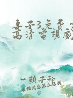 妻子3免费完整高清电视剧在线观看