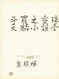 斗罗之灵珠神剑天麟小说全文免费阅读下载