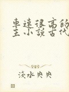 车速很高的双男主小说古代