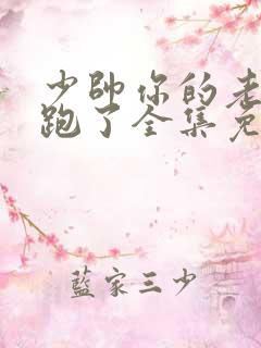 少帅你的老婆又跑了全集免费漫画免费