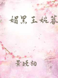 媚黑王婉蓉小说