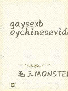 gaysexboychinesevideos