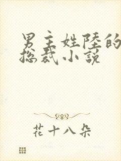 男主姓陆的所有总裁小说