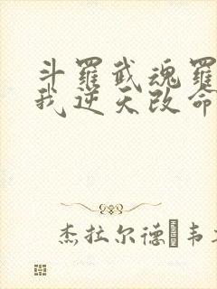 斗罗武魂罗三炮我逆天改命笔趣阁