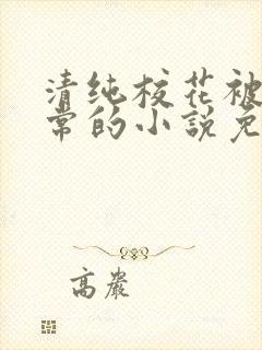 清纯校花被擒日常的小说免费阅读