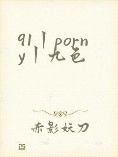 91丨porny丨九色