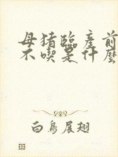 母猪临产前十天不吃是什么原因